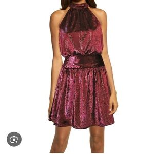 Ramy Brook Ellin Shimmer Velvet Halter Mini Dress